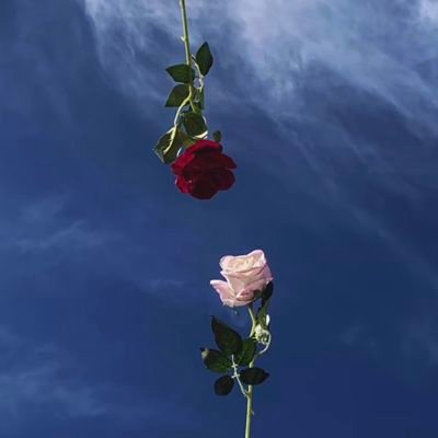 Krishankum98652's profile picture. 