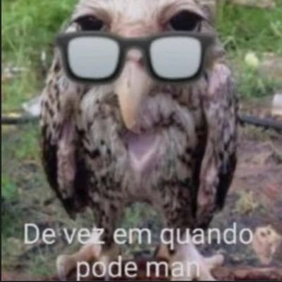 amorascapivara's profile picture. ⚛️(elu/ela/ele-they/she/he) 🏳️‍🌈Z=83 & Z=41🏳️‍⚧️ não-mono |
ANTICHRIST⸸ ANTIFASH☭ ANTINATO🔻