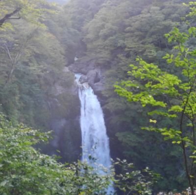 NWO3158409's profile picture. 日本は建国以来の危機的状況です。日本を牛耳っているのは日本人に成りすましたエセ日本人です。現行憲法は日本人の為の世界最高峰の人権保障憲法です。ビルゲ財団推奨のワクチンに全て断固反対。全ての自由貿易協定に断固反対。全ての国家戦略特区に断固反対。日本解体断固阻止。グローバルアジェンダ2030断固反対。支持政党なし。