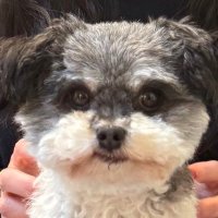 BKISIT (@bkisit) 's Twitter Profile