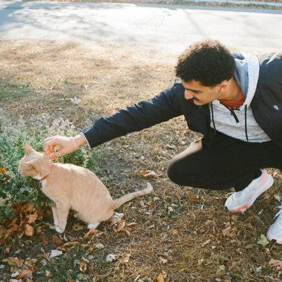 AEltallis's profile picture. Civil Engineer, pseudo-historian on the weekends. Previously @Columbia and @AUB_Lebanon - Retweets, Follows, and Likes ≠ Endorsements.