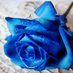 Tina H (@tinah41959) Twitter profile photo Tina H (@tinah41959) Twitter profile photo