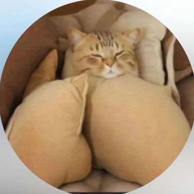 0uvelさんのプロフィール画像
