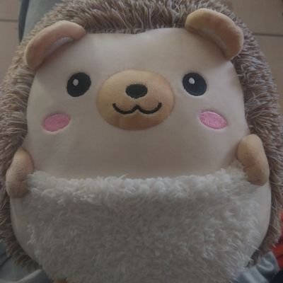 Xiao Fengさんのプロフィール画像