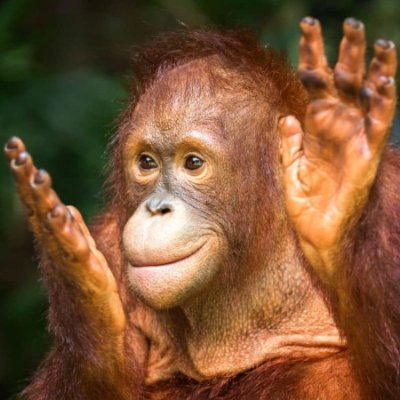 chonker_stonker's profile picture. 