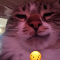 Luis7u7c (@luis7u7c) 's Twitter Profile