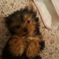 mari (@maribressim) 's Twitter Profile Photo mari (@maribressim) 's Twitter Profile Photo