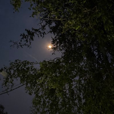 singh_gunv89775's profile picture. 