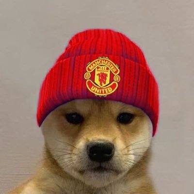 MR11se's profile picture. Chemical Engineering Researcher 🛠️🧪MAN UTD FOREVER 🔴⚪️⚫️ ⚽️🏉🏀🎾