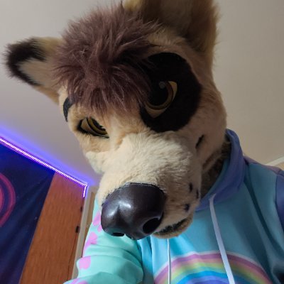 🇫🇷 M/ 36/ Pansexual/ Mursuiter/ Latexfur/ Diaper lover/ Locked dingo