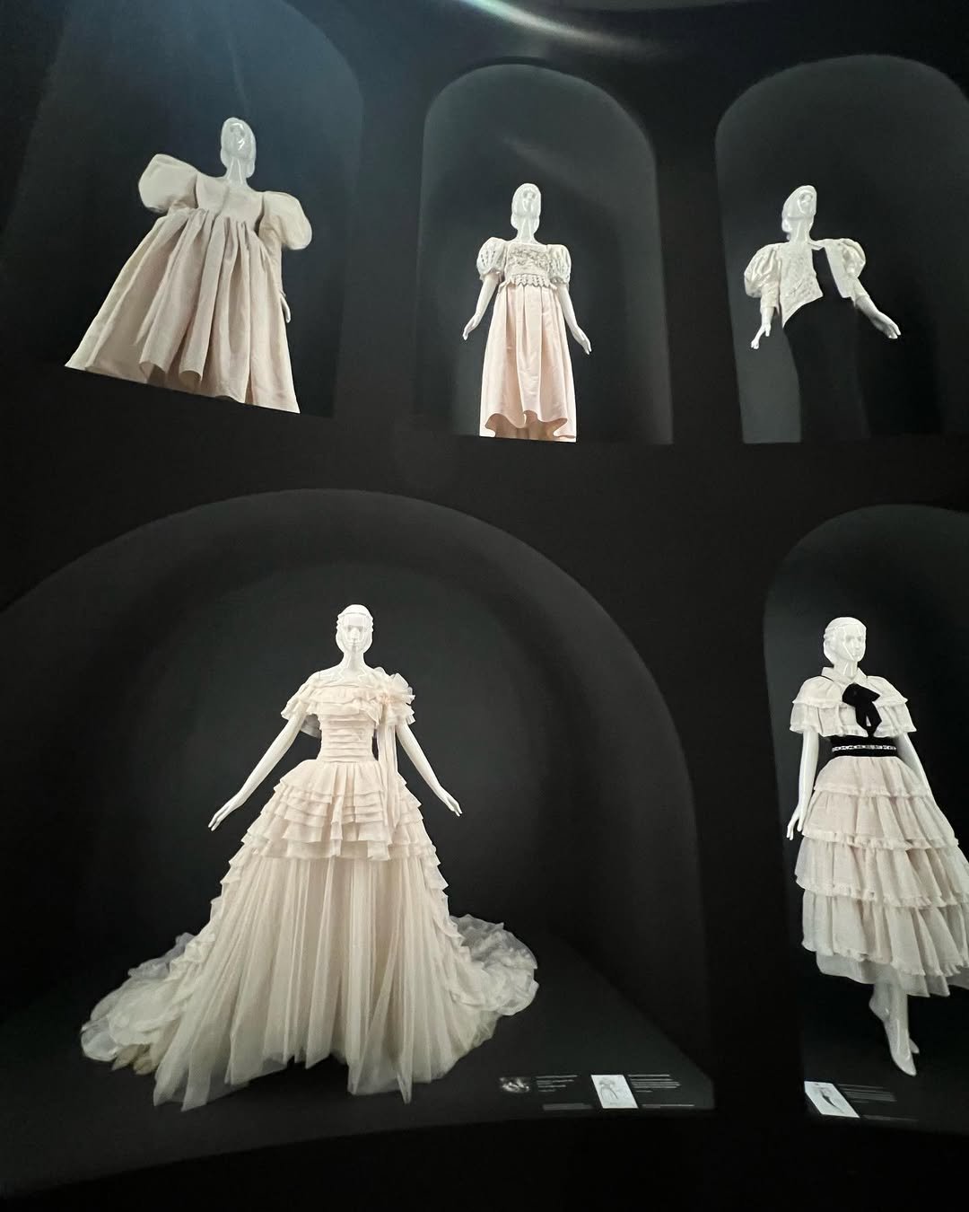 JaquelinBo49823's profile picture. Gods determine what you're going to be。