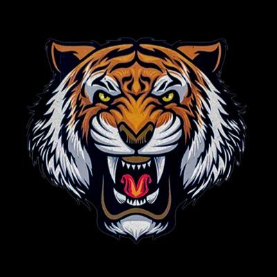 Balboa School Bengals Basketball Profile