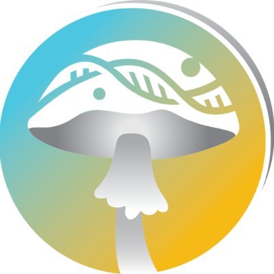 🍄 Empresa biotecnológica especializada em fungos
🧬 Cogumelos Psilocybe cubensis
📦 Entregas em todo Brasil