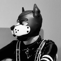Max (@pupxrune) 's Twitter Profile