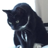🌺 SqueebleBeeble 🍃 (@squeeblebeeble) 's Twitter Profile