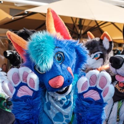 Male (22)| LGBTQIA+ (Gay) 🏳🌈 | Taken❤️ @ThatKaidoFox | Furry 🐾🐺 | NextCons: GLC15, NFC, EF | Telegram: CoreyFolf | IG: CoreyFolf
