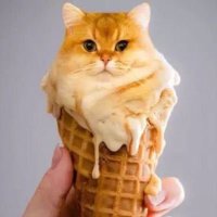 Jizzler (@jizzlerpissler) 's Twitter Profile Photo Jizzler (@jizzlerpissler) 's Twitter Profile Photo