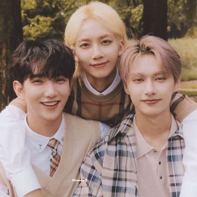 khaikhai000010's profile picture. Poodle Mom🐩| Primadonna - FTIsland 💛| Carat - Seventeen 🩷💙| 1996