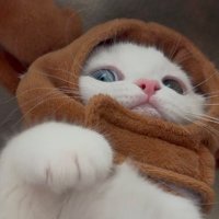 𝖻𝗀𝗒𝗎 🐾 (@4o61212) 's Twitter Profile Photo 𝖻𝗀𝗒𝗎 🐾 (@4o61212) 's Twitter Profile Photo