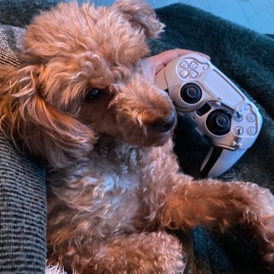 @Fortnite_Asa