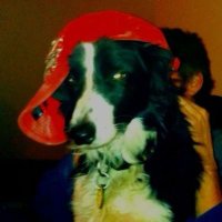 Jordan 🪲 (@disorderedbowie) 's Twitter Profile