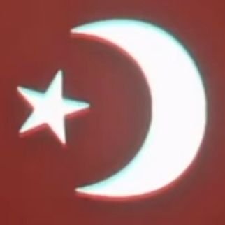 salafiturk's profile picture. Salafism is the only way to unleash the sheer brutality of the Turk against the Murtaddeen, Mushrikeen and Kuffar