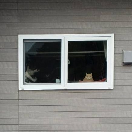 hello_6468's profile picture. 