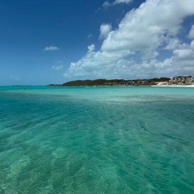 A3libre's profile picture. A is A