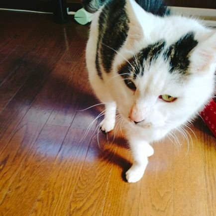 superpiichan45's profile picture. 何故か今までのアカウント入れなくなりました…。
どうしたらいいものか…
元SUPERぴーとかぴーすけでやってました😭😭😭😭
アラフォーの関東住み

eighter💓色白のyouが好き😚✨✨✨

懸賞も好きでリポストうるさいと思うけどごめんなさい😵‍💫