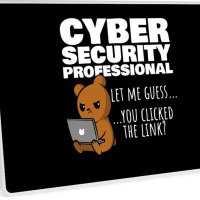Cyber security professional (@cybersecur31730) 's Twitter Profile