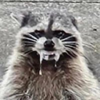 Glen Mo π΄ββ οΈπΈπͺ (@moglenmo) 's Twitter Profile