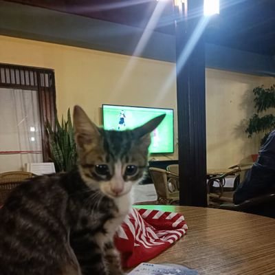 💙 

Lan arkadaşlar bu hayatta kimseyi kendinizden çok sevmeyin.
