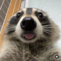 Dplios (@dplios) 's Twitter Profile Photo Dplios (@dplios) 's Twitter Profile Photo