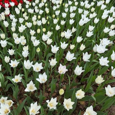 sienana71's profile picture. いつの間にか最推しになった松田凌くんのことだけ呟きます。加州もマイキーもリヴァイも安達も最高だけど、.5じゃないの役の凌くんも大好き。「クロードと一緒に」再演希望。いつか凌くんの「スリル・ミー」が見られますように。無言フォロー失礼します🙏気軽に絡んでください。本垢→  @Ayaryaksh
