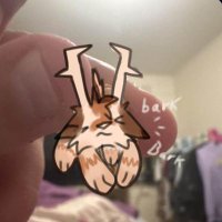 Laxxer wolf π¨ π²ππππππππππ π²ππππ! (@laxxer_the_wolf) 's Twitter Profile