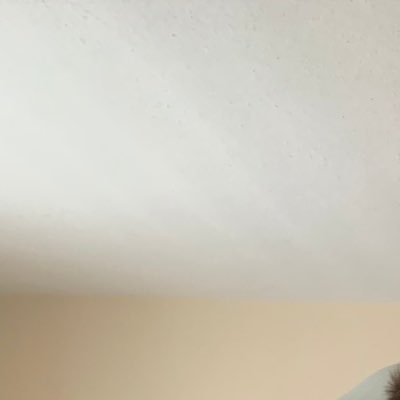 GrantMiles94's profile picture. 