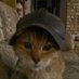 caleb (@belace1111) Twitter profile photo caleb (@belace1111) Twitter profile photo