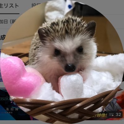 福島出身/四校卒/専門大卒/20↑/アニメ好き/夢女