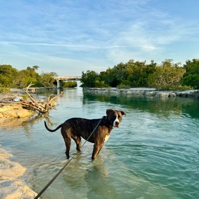 AJTwist561's profile picture. UF 🐊 | Heat 🔥 | Dolphins 🐬