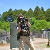 ハスキー (@halcyonlunch) 's Twitter Profile Photo