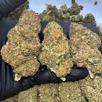 Snapchat only we have all types of drogs 🍁💊❄️🍫https://t.co/Lw6M8ed7HA