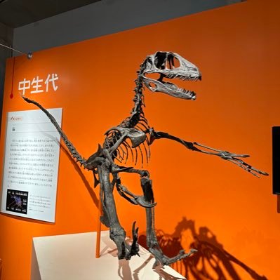 SoraMameCG's profile picture. 27卒の学生です。エンヴァイロメント、背景モデリング、ライティング、レベルデザイン、物理シミュレーションに興味があります。使用ソフト→MAYA / ZBrash / Photoshop / Substance 3D Painter / UE5