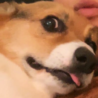Lynn10599377947's profile picture. 