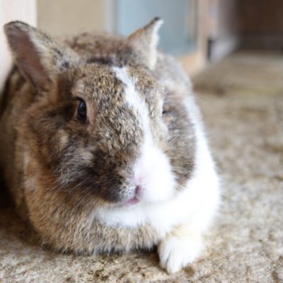 kinjito0223's profile picture. 好きなものは、写真、お笑い番組、アニメ、映画、ゲーム、プラモデル、ランニングです。原神、ガンプラにハマってます。