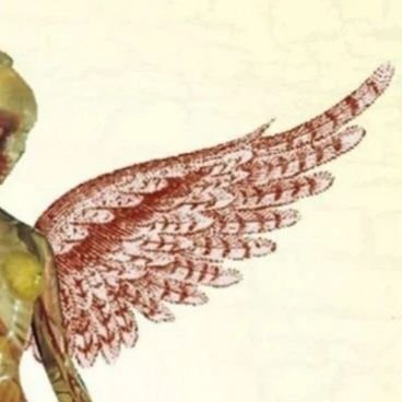 pregnant_sonic's profile picture. priv-@peronabutshed

empty alt-@fred_fabear