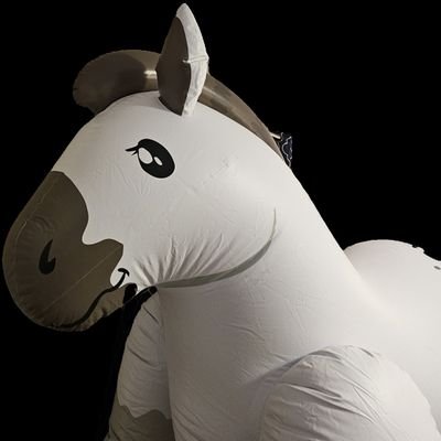 Inflatable collector and enthusiast
Listed my Inflate and Ride profile for a current list of my collection.