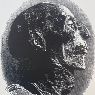 ma1siak's profile picture. Law Student