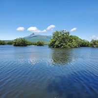 🌈🍀☀️マヒナ☀️🍀🌈 (@mahina3572) 's Twitter Profile Photo