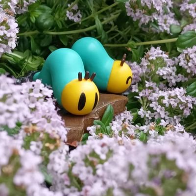 618Haru141's profile picture. 