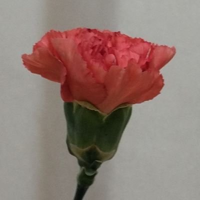 スポーツ用のはずでした。いいねRT等無駄に多いです。公式等のフォロー情報収集目的で呟きはほぼ無駄話。いろんなクラブ⚽が好きです。
無言フォロー失礼します。
天安門事件 魔除け